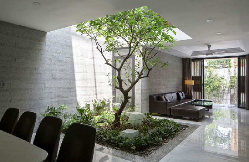 mẫu thiết kế giếng trời