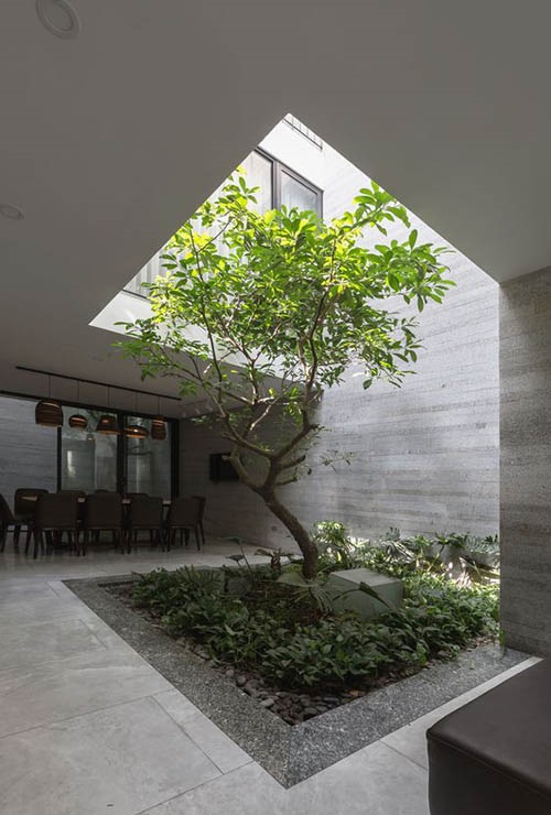 mẫu thiết kế giếng trời