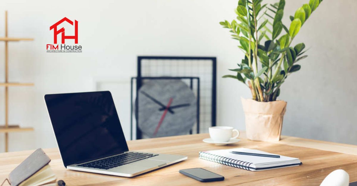 cây xanh trang trí phòng làm việc