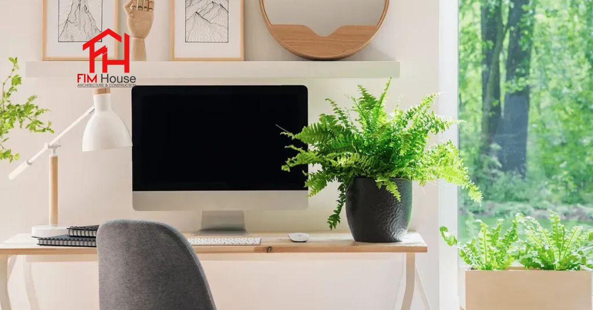 cây xanh trang trí phòng làm việc