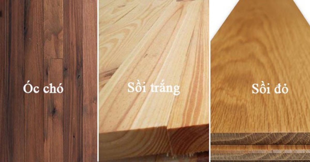 gỗ óc chó với gỗ sồi